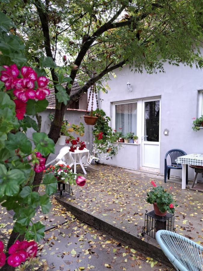 Soul Hotel Palić Exterior foto